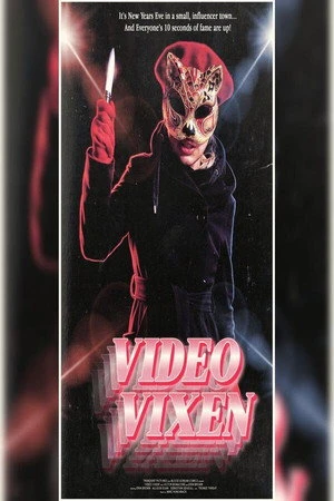 Video Vixen (2026) Hindi (MULTI AUDIO) – – 1080p